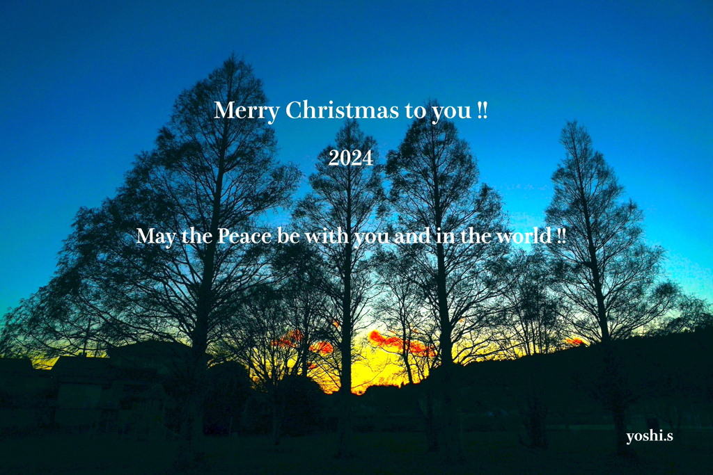Merry Christmas !：NTW536