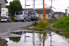 写真句：梅雨曇り