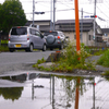 写真句：梅雨曇り