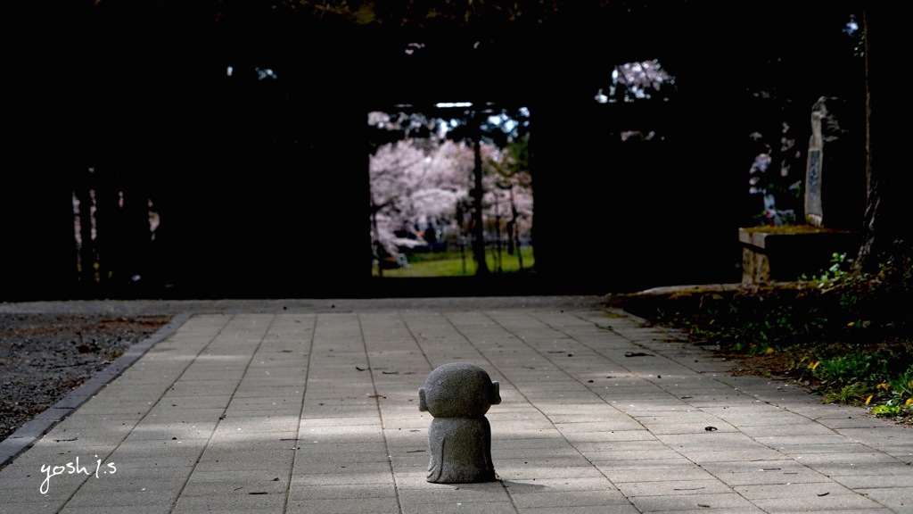 写真句：花見