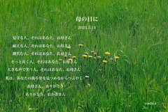 写真詩：お母さんと呼ばれる人に