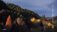 写真句：山里の秋