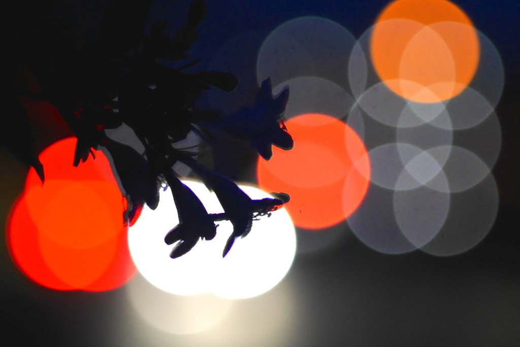 写真掌編：夜間飛行