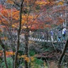 写真エッセイ：花貫渓谷３：吊り橋