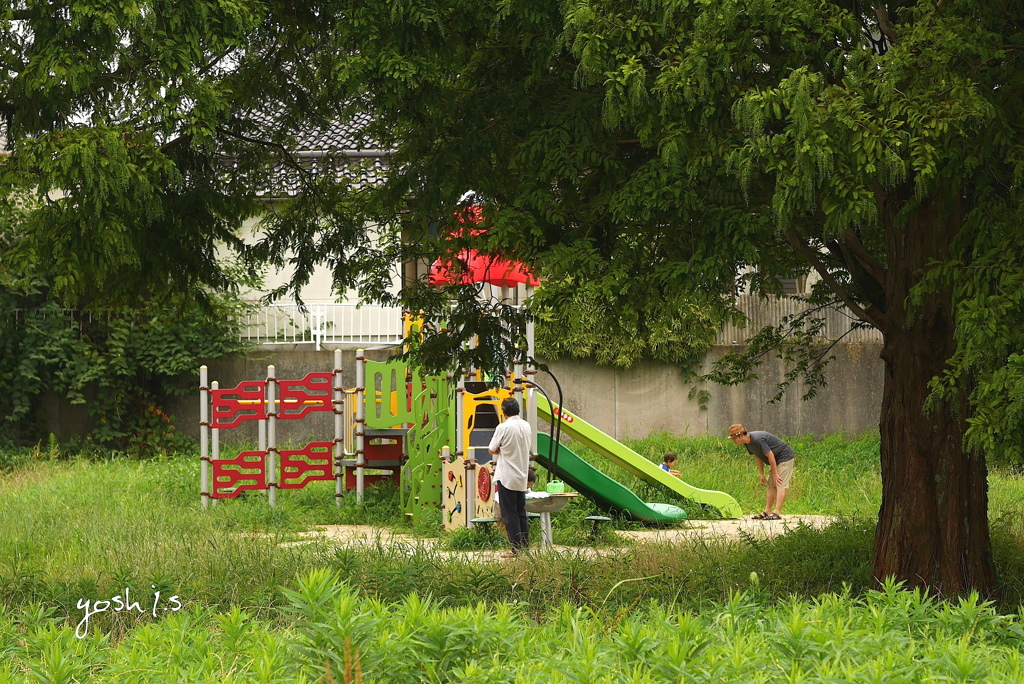 写真句：おやじの出番
