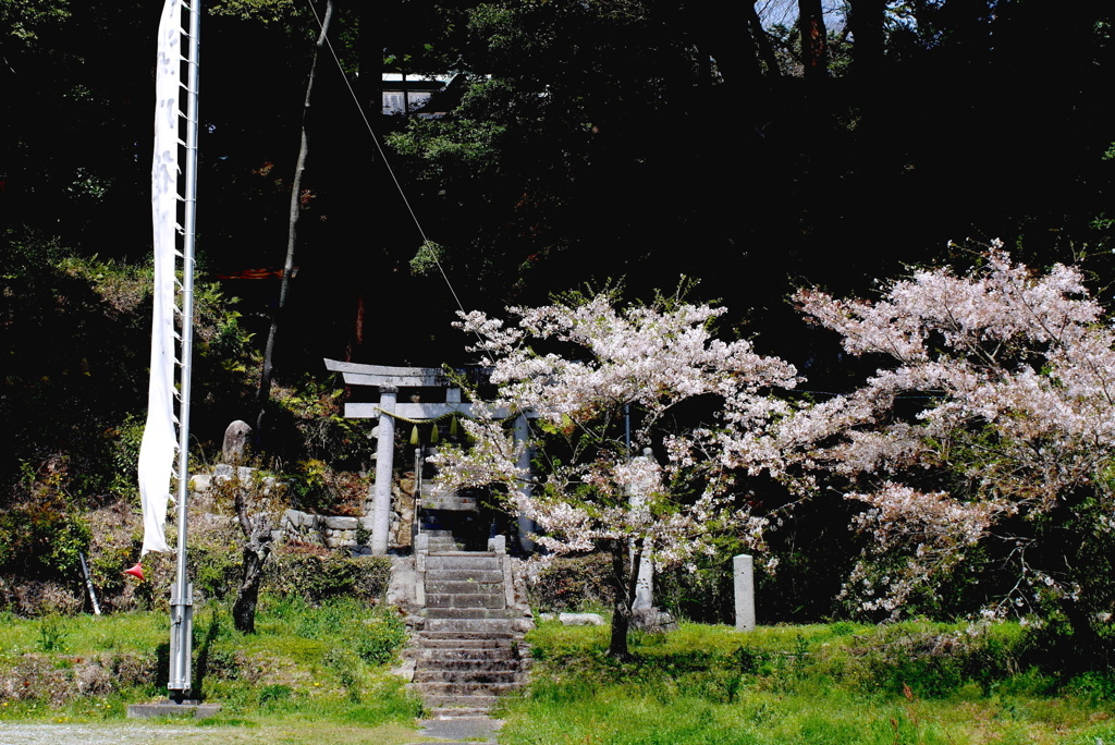 写真句：春の祭礼（NTW64）