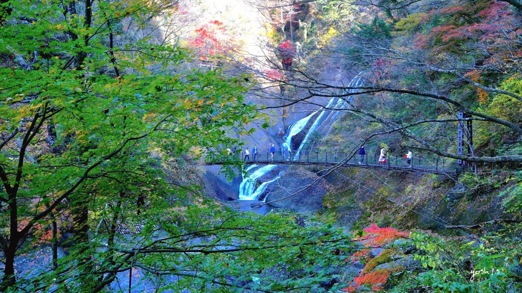 写真エッセイ：袋田の秋７：滝と吊り橋と紅葉と １