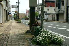 写真エッセイ：わが町点描31：駅前通り：NTW639