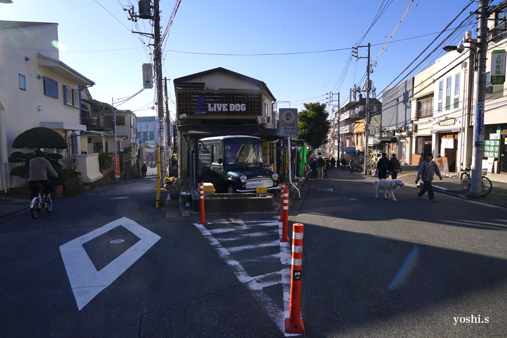 写真エッセイ：東京散歩15：谷中５