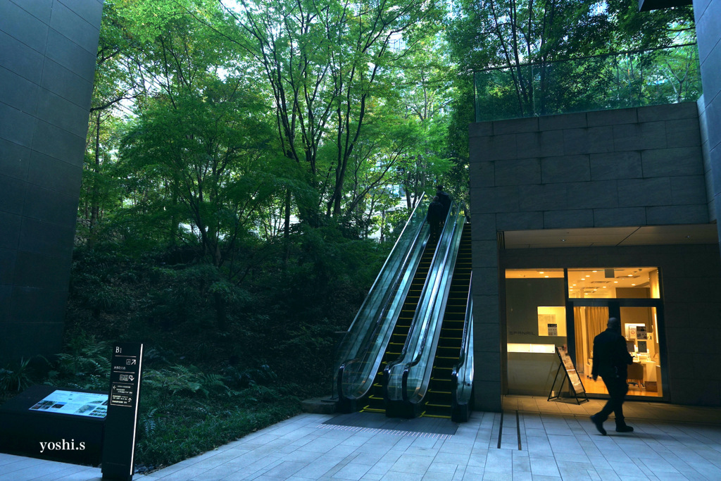 写真エッセイ：東京で３