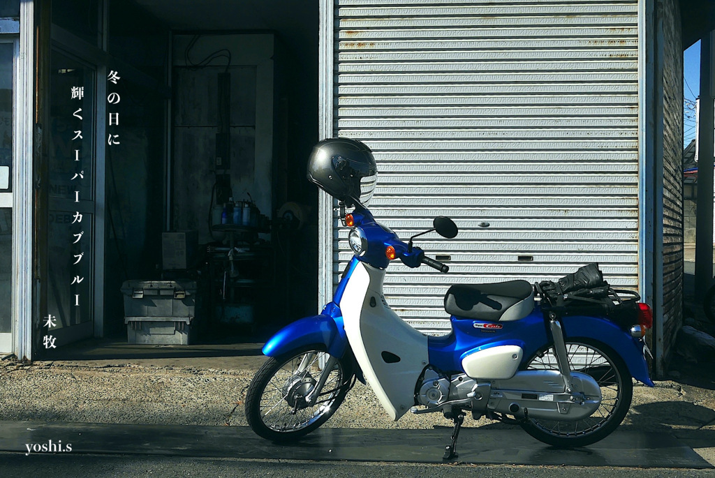 写真句：ブルー・カブ