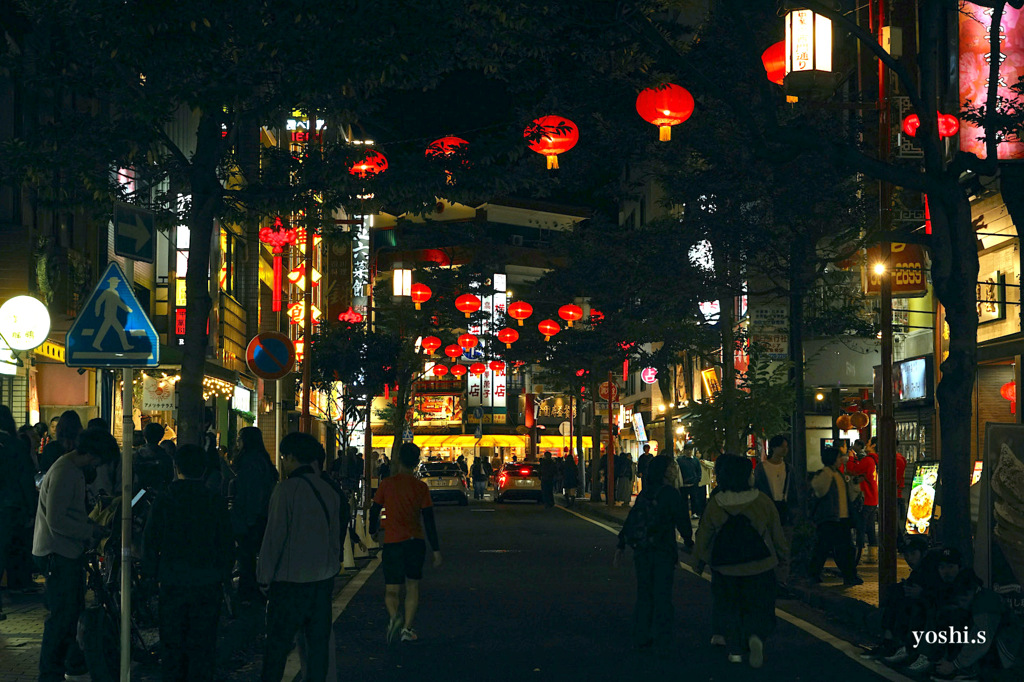 写真エッセイ：横浜２：中華街へ