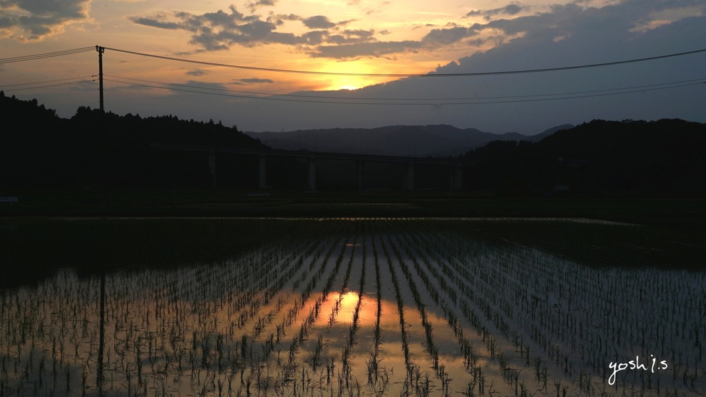 写真句：夕日影