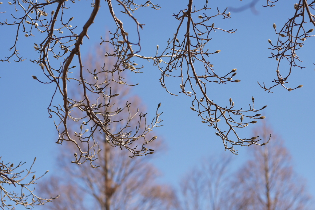 風に吹かれて