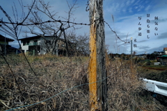 写真句：写ん歩道３：冊