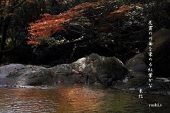 写真句：花貫渓谷紅葉狩り2023 その16：渓流２：川面の紅葉