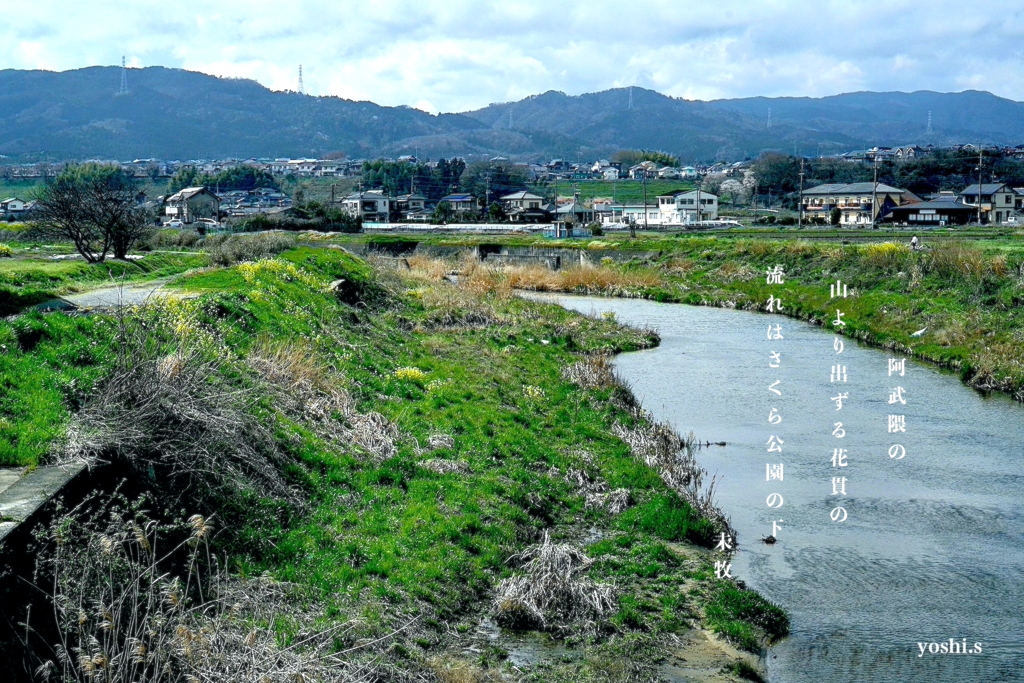 写真歌：帰り道２：花貫川１