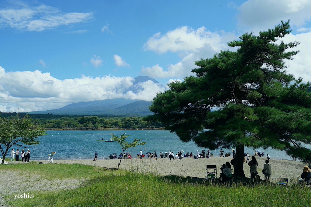 写真エッセイ：富士山１：精進湖