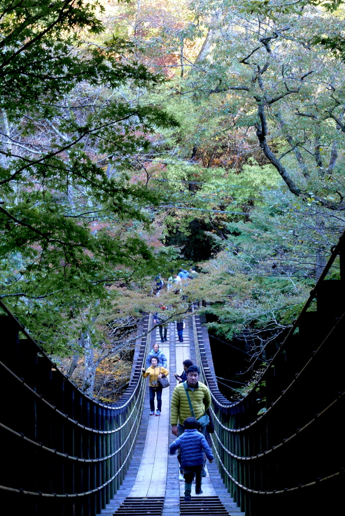 紅葉便り１