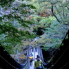 紅葉便り１