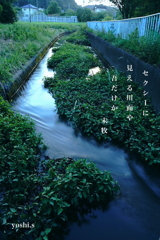 写真句：Sexyな川面