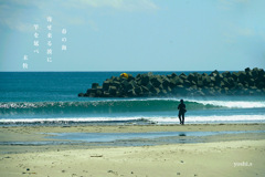 写真句：海へ６：釣り人２：NTW624