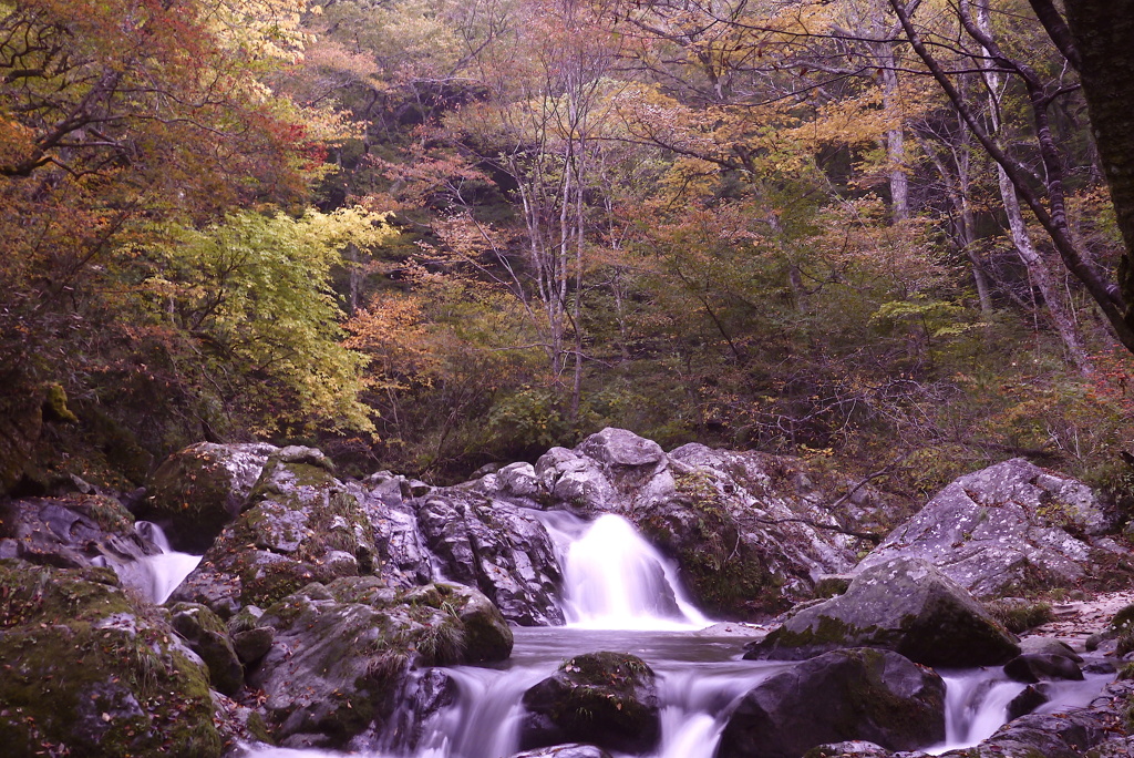 2014秋彩７：小滝沢１