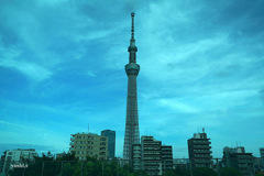 写真エッセイ：東京散歩８：スカイツリー３：またね、東京