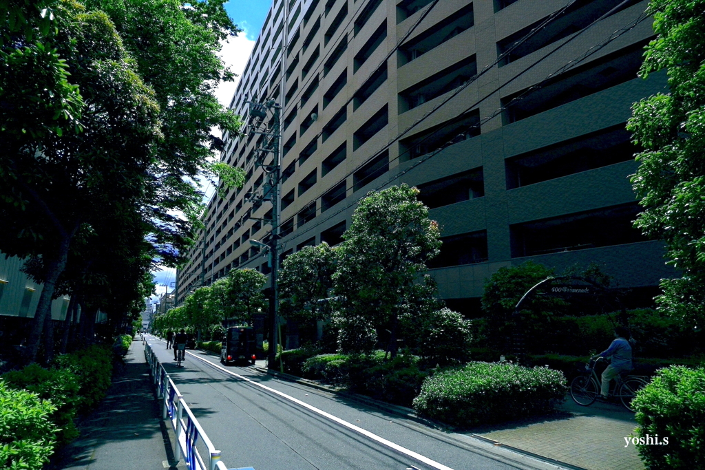写真エッセイ：緑の中のおーきなマンション