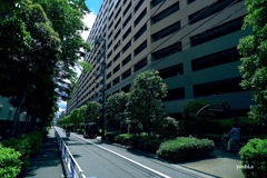 写真エッセイ：緑の中のおーきなマンション