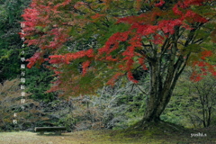 写真句：花貫渓谷紅葉狩り2025：名馬里が淵１