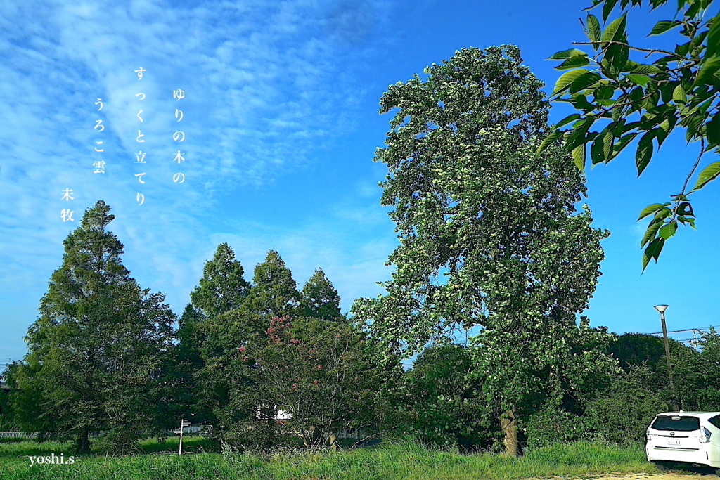 写真句：夏空