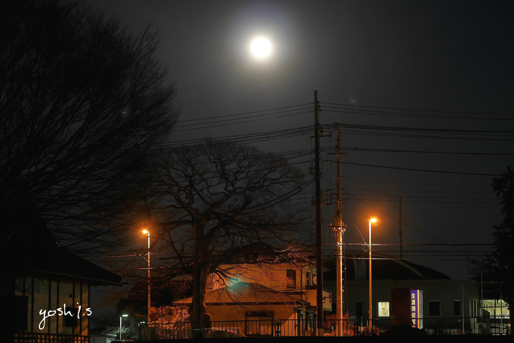 写真句：宵の月：NTW196