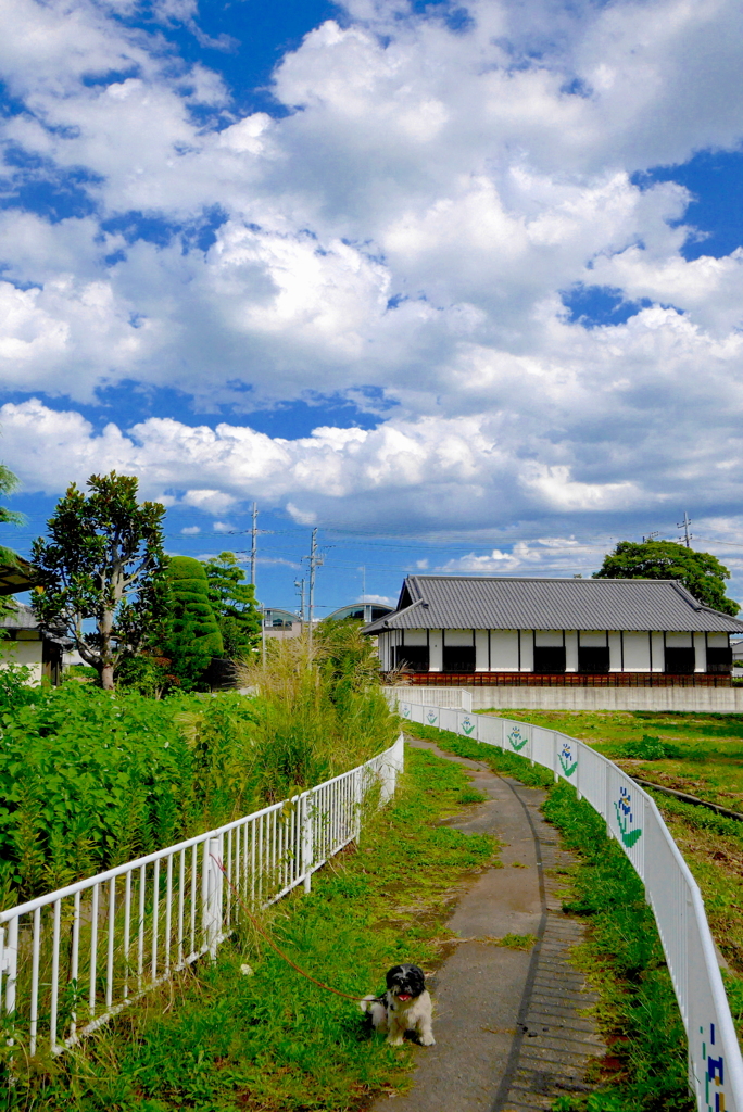 写真句：ベルの空（NTW78）