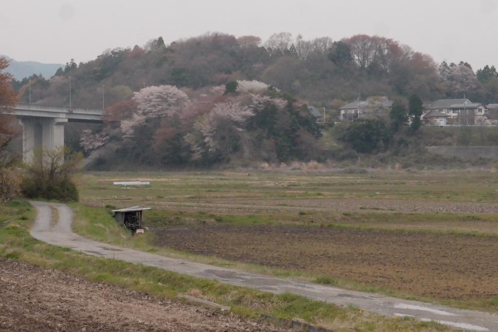 春の風景２