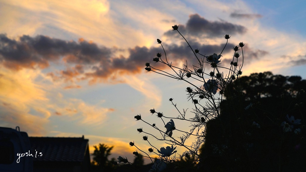 写真句：茜空