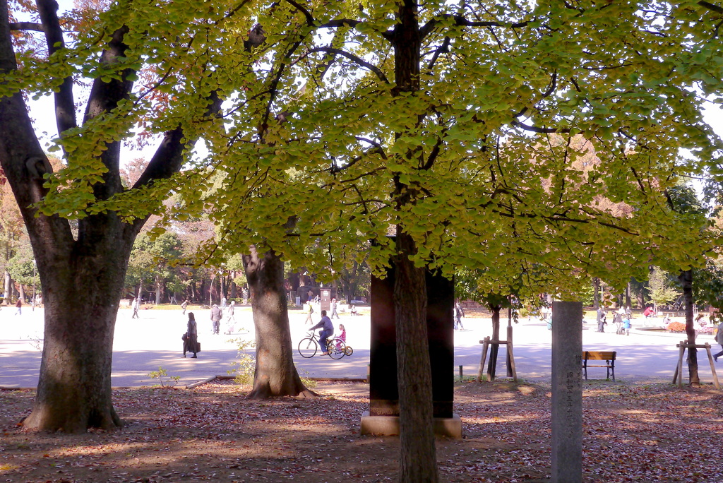 公園散歩４：東京国立博物館前広場２