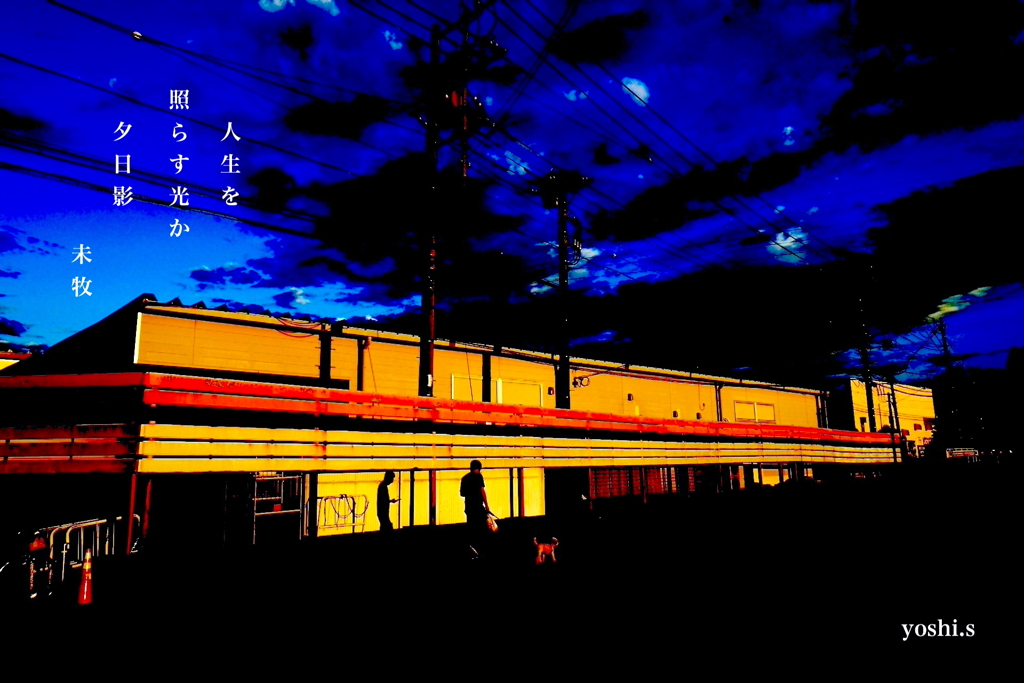 写真句：夕日影
