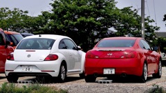 写真エッセイ：紅白の尻：Red and white cars