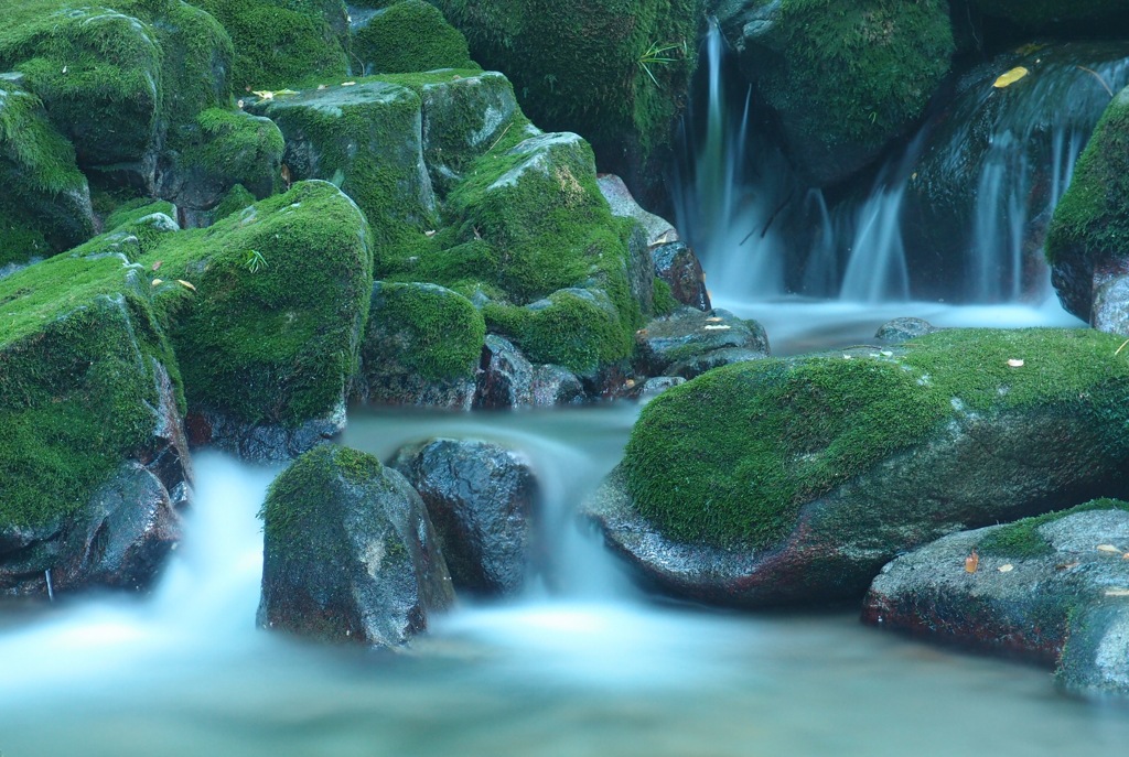 花貫・小滝沢１