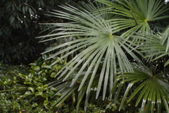 窓の外は雨２