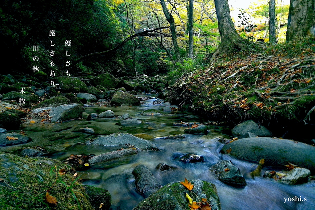 写真句：花貫渓谷紅葉狩り2025：吊り橋のある渓流４