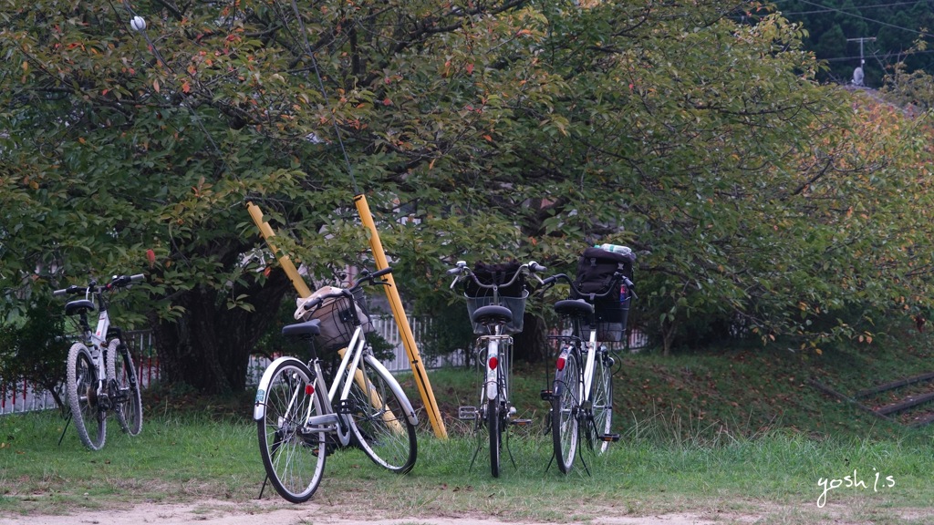 写真句：ともだち