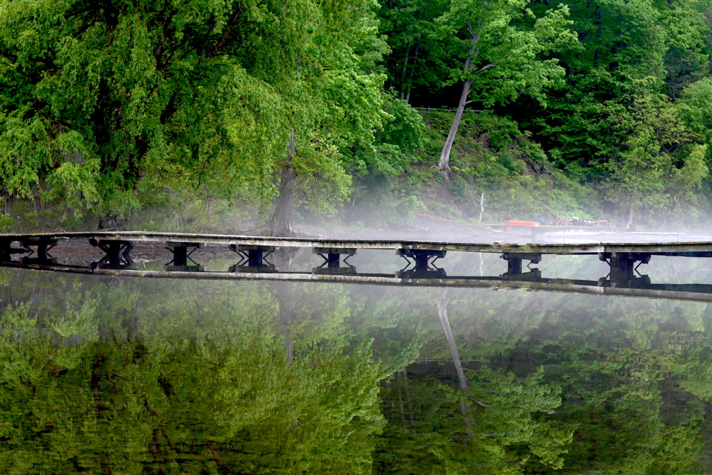 Cayuga Lake２