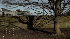 写真句：春を待つ影