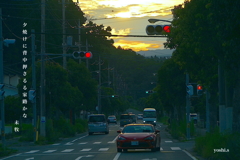 写真句：家路