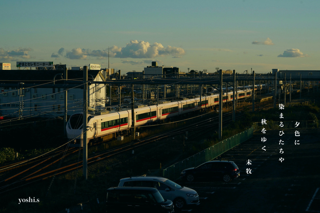 写真句：夕色の特急ひたち：NTW537