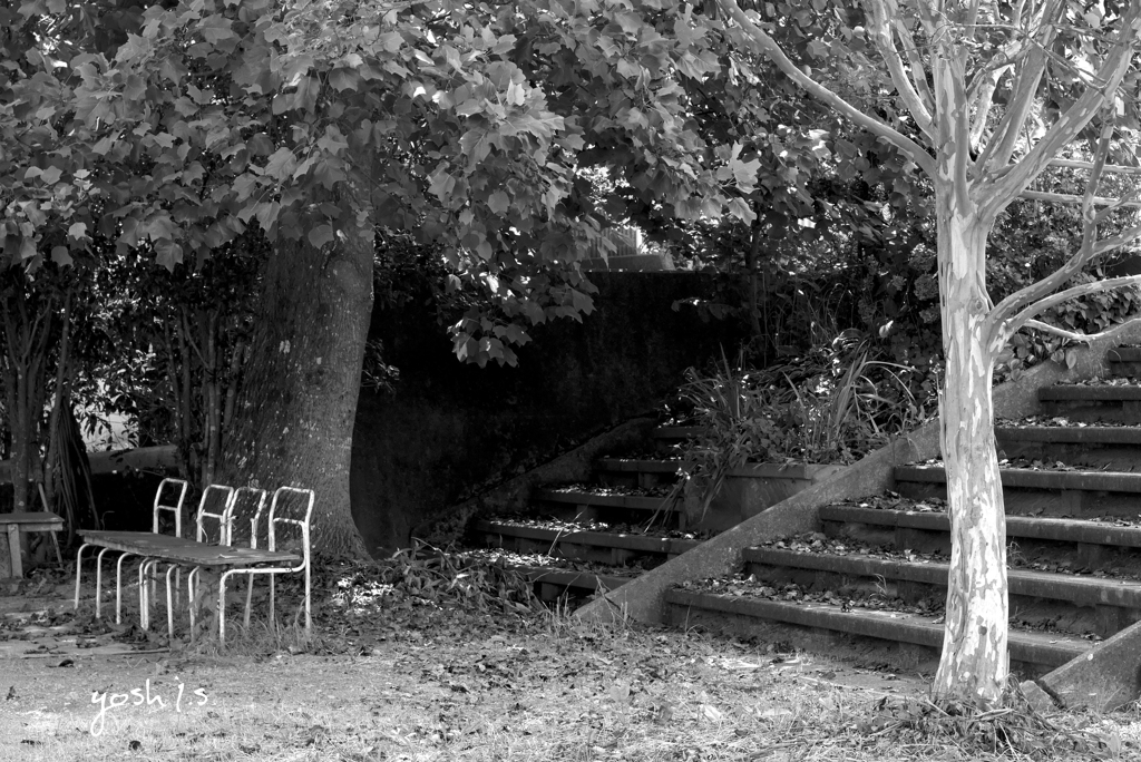 写真エッセイ：B&W4 夏の終わり