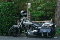 写真エッセイ：五浦のハーレー