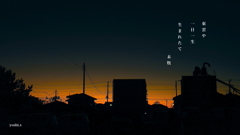 写真句：東雲：NTW529